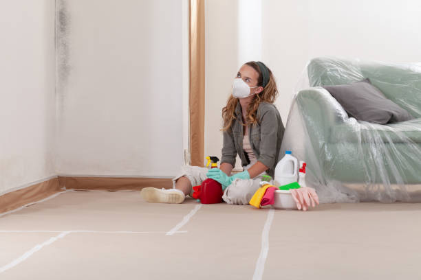 Reliable Mold Inspection contractor in Hamburg, NJ by WQB Mold Removal
