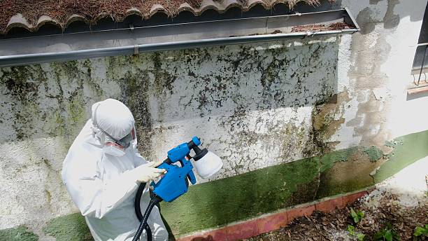 Top rated local Mold Inspection specialists in Hamburg, NJ